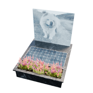 Pets Snoopy Hologram